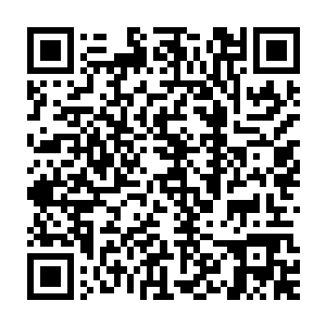 羽溪也发现流墨墨几人拿到酬劳之后没有和其他修真者一样立即离开二维码生成