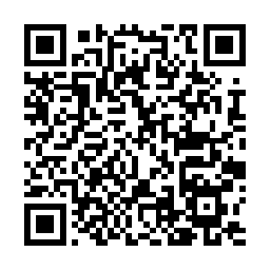 翌日薛文定便带着众人签字画押的协议又一次来到了云城二维码生成