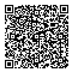 翻手之间毁天灭地 在这里他是无所不能 当界珠世界的西北方经过若水的冲击之后 其内的天地力量似乎有所增强 请百度一下二维码生成