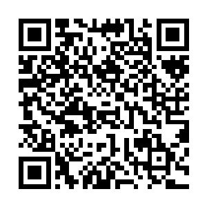 翻看一下后只刷的把一条灰色短毛的兽皮丢到了流墨墨头上二维码生成
