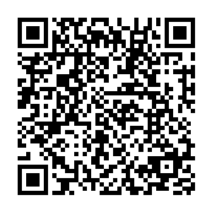 老佩顿可以很清楚的看到屏幕里面的丁羽究竟是怎么样的一种表现二维码生成