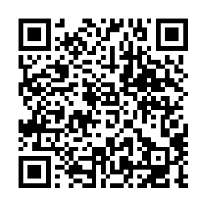 老大　我　我舍不得大家　但是　但是我不想你们再打了　二维码生成