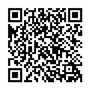 老夫没有让你签订主仆契约已经算是对你啸月天狼一族的仁慈了二维码生成