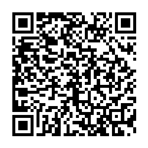 老头子的修罗丧魂手就显得没有什么用处了……或许也有一些效果二维码生成