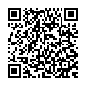 老头我记得王家好像没有什么漂亮的小姑娘值得你去留恋的吧二维码生成