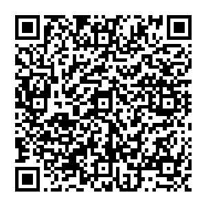 老头轻轻的将手中的弯刀放到嘴前 伸出舌头舔了一下刀上的血液 看着其他几个人 说道 二维码生成