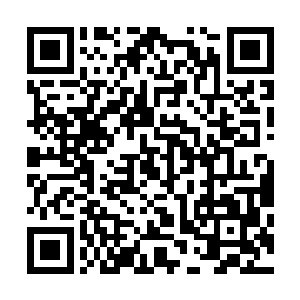 老奸巨猾的两个人脸上立刻就显现出一副诧异加愤怒的模样二维码生成