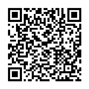 老子不和你们争就是看在同为华族一脉给你们张家面子了二维码生成