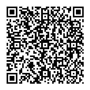 老实说这条街不常在明珠混的人很少听说但的对于在明珠生活的人这条街才是各种小吃美食的聚集地二维码生成