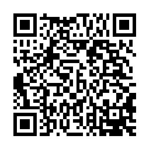 老家人立刻就从怀里掏出两张交子笑着给了猴子和憨牛一人一张二维码生成