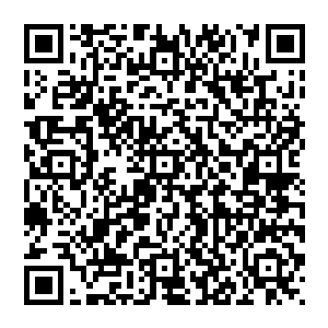 老家伙血玉祖龙有准确消息了吗我今晚准备搞场大的万一血玉祖龙就在我几个目标里那岂不是太蛋疼了二维码生成