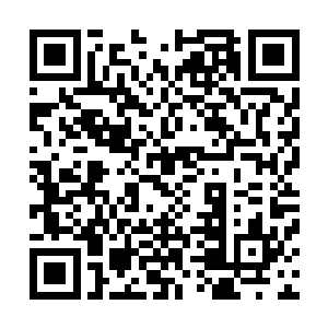 老师们只是简单的给每个小孩用小毛巾擦擦头发就算完事了二维码生成