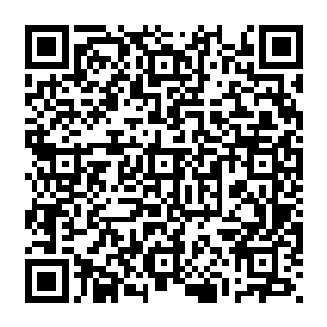 老师的脸庞……失望的眼神……无尽的黑暗……永远提醒着他的痛苦……自我的放逐……二维码生成