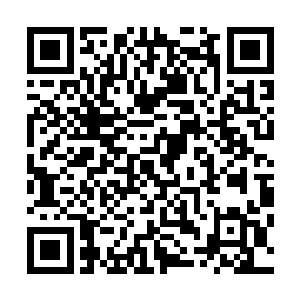 老族长将的孟荒部落现在面临的威胁如实的给延森说了一便二维码生成