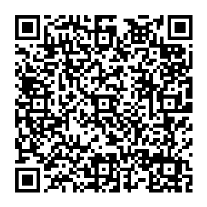 老烈 真的还是假的 据说当时你们有着好几个金丹大能在此 怎么会让一个小僵尸从眼皮子底下逃跑 二维码生成