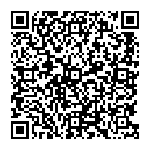 老爷子担心继任者知道夏侯家底细和实力后不甘心屈居人下会显摆出夏侯家的所有实力去登顶二维码生成