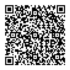 老猴子一手将玉壶收在手中 从空中降落 來到风清扬身旁 看着他 眉眼里全是满满的笑意二维码生成