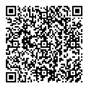 老猴子再次低喝　双手掐动　绽放的光幕更加浓郁　将他完整的笼罩其内　简直是密不透风　就算是苍蝇也飞不进一只二维码生成