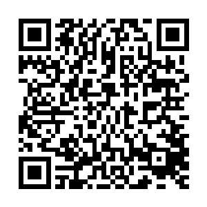 老白你不是说你刚才亲眼看到他衣衫不整地从老板娘房里跑出来二维码生成