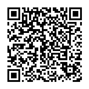 老祭司一下子缓和的语气和没什么精神的表情让凌菲有点招架不住了二维码生成