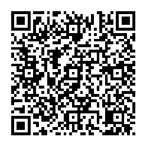 老者顿时收回了目光 双手操控着界珠 脸色更加的苍白了 似乎这一刻他也极大的消耗着二维码生成