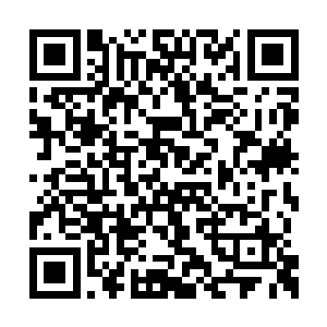 老转轮王在归墟之主的授权下担任代理归墟之主二维码生成