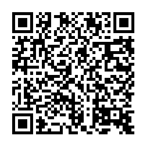 老龟在海上跟其纠缠……人族如今有不下十尊叩开玄门的通玄之士二维码生成