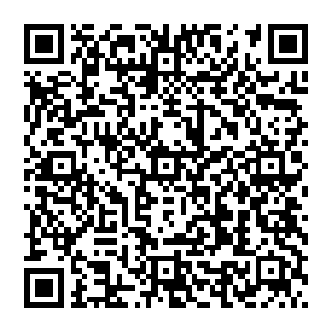 而一座森林里所有的植物天生就能通过电磁信号把能威胁到它们的入侵者的信号瞬息就传播到数千公里之外二维码生成