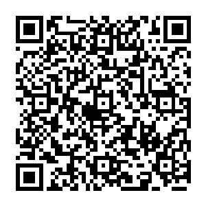 而一旁的敖无暇却是眼眸晶亮的抱起了一个能遮挡住他大半身体的镜子类武器看向那个仙人二维码生成