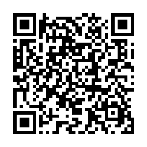 而一旦到了晚上……这黑暗森林里就会变得比白天更加热闹二维码生成