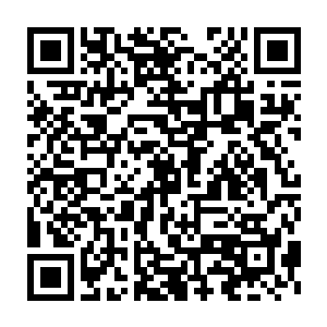 而一旦被马教授寄托了半生心血的藏书落到一个根本不懂中医人的手里二维码生成