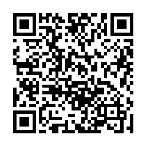 而一时没注意的司空苏娜感觉到手里的衣服咻的扯离二维码生成