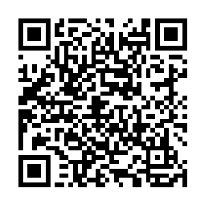 而一直保持警惕的蛇眼也在他们动手的一瞬间同时开枪二维码生成