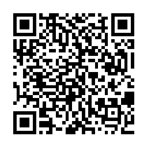而一直在追击着杨开的混沌灵王似乎也隐隐约约意识到了什么二维码生成