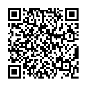 而一直老老实实乖乖着贴在地上的小笨熊也忍不住看了过来二维码生成
