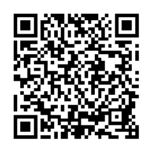 而一边的纸仆已经开始有条不絮的修整这里损毁的东西了二维码生成
