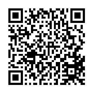 而一部投资不到五千万的传记体电影获得了十三亿九千万的票房二维码生成