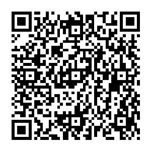 而上方的杨晨赵羽齐浩上官清一行人看着下方的动静确是一副事不关己高高挂起的看戏模样二维码生成