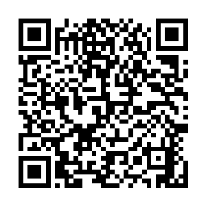 而下方的黑寡妇嘴里也不断的传出一声声无比凄厉的惨叫声二维码生成