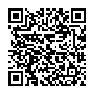 而下界的修士则负责传授大家一些可以使用的小法术二维码生成