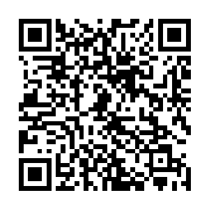 而不是开始时单纯的一杆子交易你救出我我帮你几下而已了二维码生成