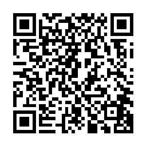 而不是第一场那种只是简简单单的二招便是全场结束的碾压局二维码生成