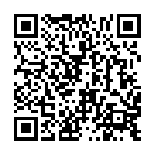 而不是靠着在所谓的外事活动中穿几件得体的衣服二维码生成