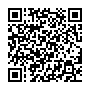 而不是靠这种什么行政命令……我要你真的很想娶我二维码生成