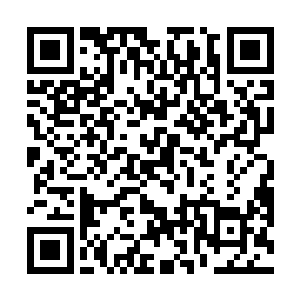 而不知道他们之前在南瞻部洲和其他地方所经历的一切二维码生成