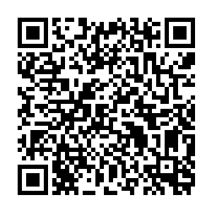 而与此同时那同样满头满脸都是血的辟寒大王和辟暑大王也纷纷惊呼出声二维码生成