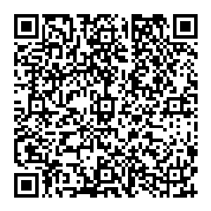 而且 不仅仅如此 他的僵尸之躯在破开大劫之后 变得更加凝聚 体内的四中本源之力破坏之下 不断的毁灭重生二维码生成