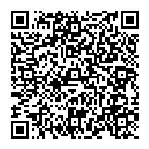 而且 在这里 也仅仅只是低等的蝼蚁而已 要么被用來当做炼器的材料 要么就是被修士炼化成傀儡二维码生成