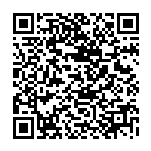 而且不是用的石材木头而是用的像是铁路上用的隔声墙还是那种带着防攀的二维码生成