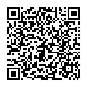 而且两人现在一点也不用担心什么时候突然从海面上窜出一条鲨鱼什么的二维码生成